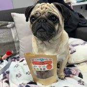 Dog with Salmon Training Treats