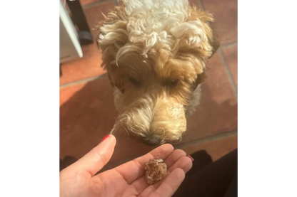 Dog with Smokie Snacks