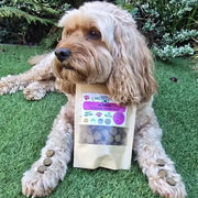 Dog with Wild Boar Training Treats