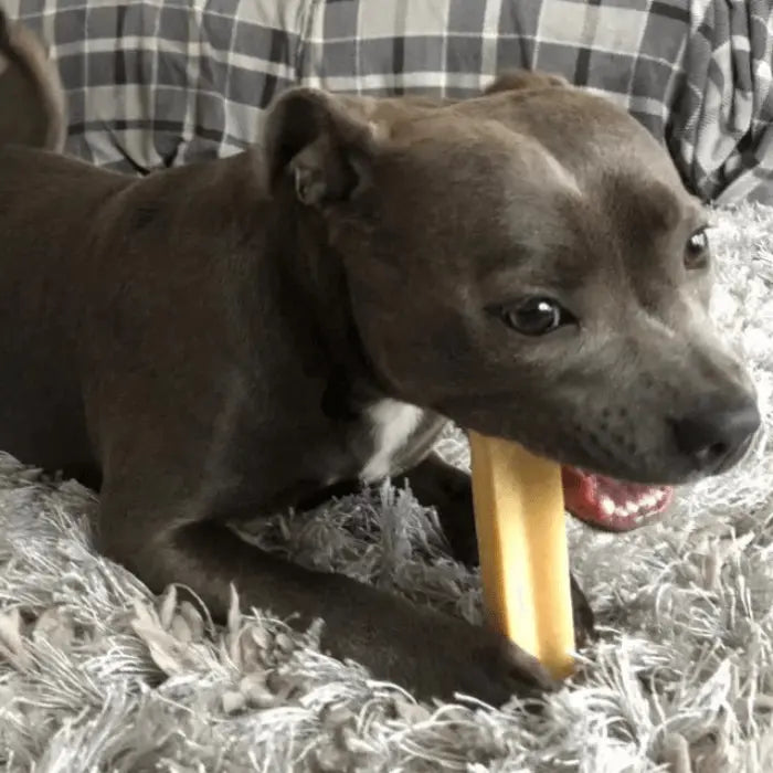 Customer with Yak Snack