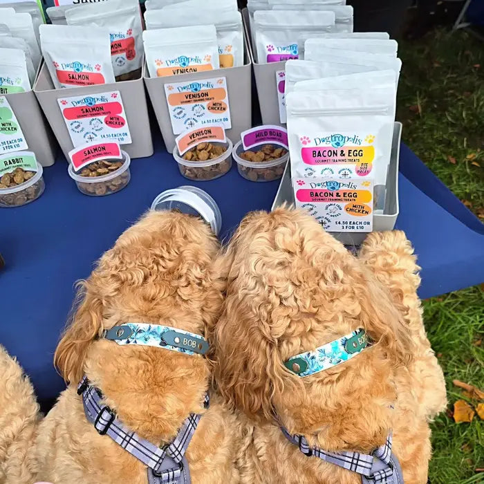 Dogs Testing Dogtropolis Bacon Egg & Treats