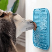 Dog with Lick Mat