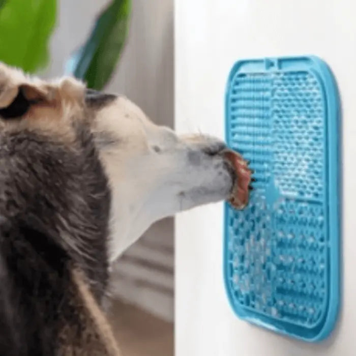 Dog with Lick Mat