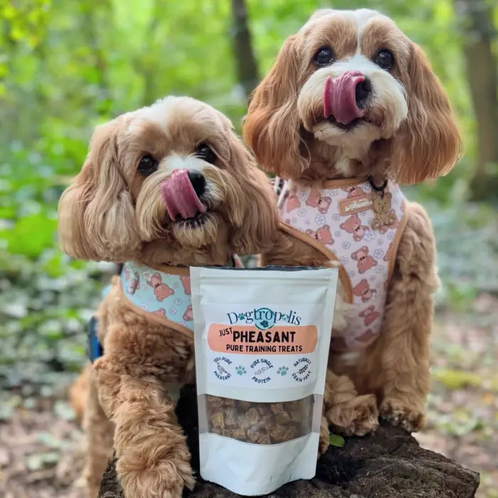 Pure Pheasant Training Treats for Dogs