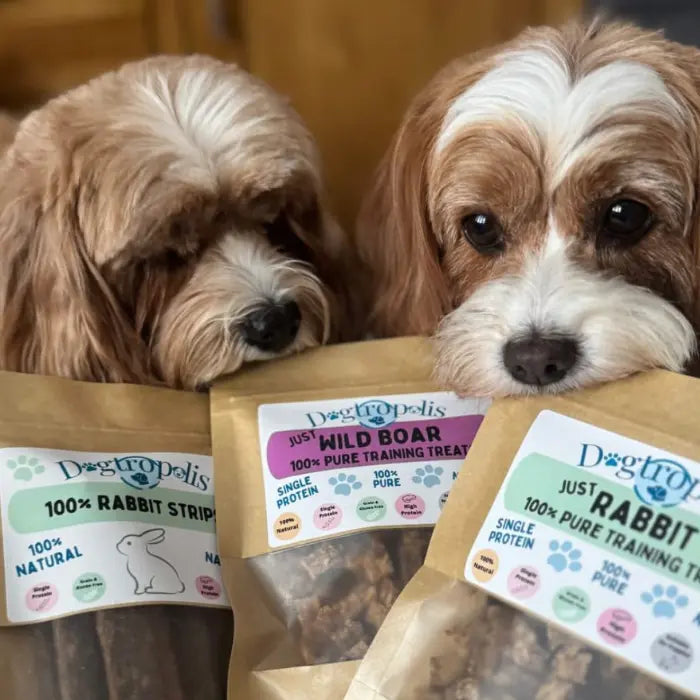 Dogs with Treats & Strips