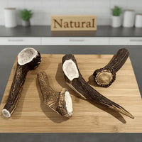 Antler Chews for Dogs
