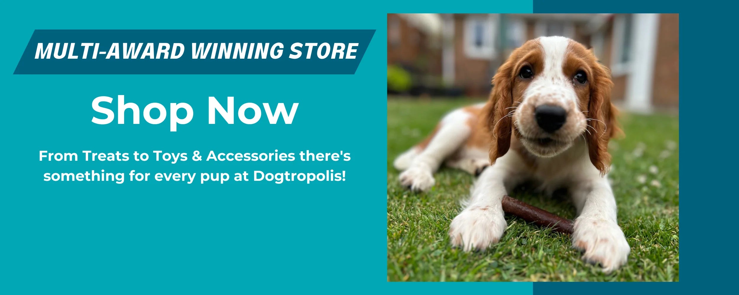 Dogtropolis - Pet Store