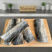 Dogtropolis Fish Flatties