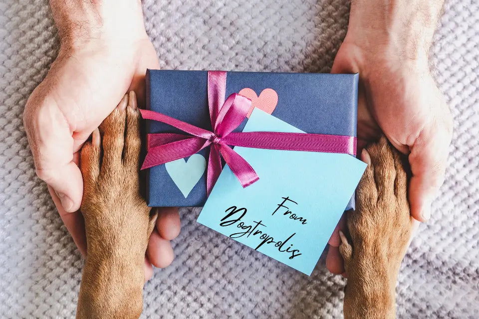 Dogtropolis Gift Voucher