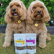Dogtropolis Gourmet Training Treats