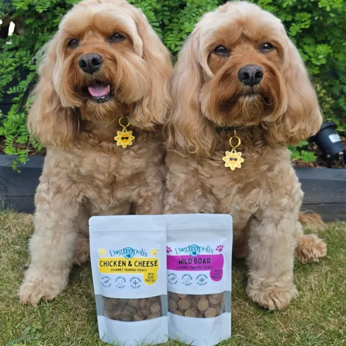 Dogtropolis Gourmet Training Treats