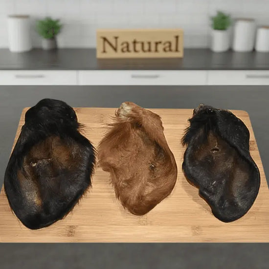 Hairy Cow Ears | Large