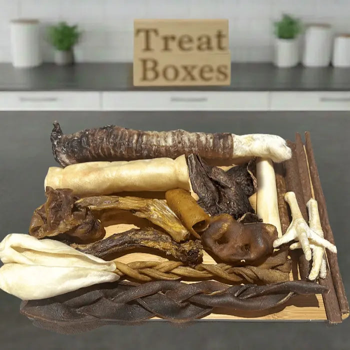 Meaty Mega Box for Dogs