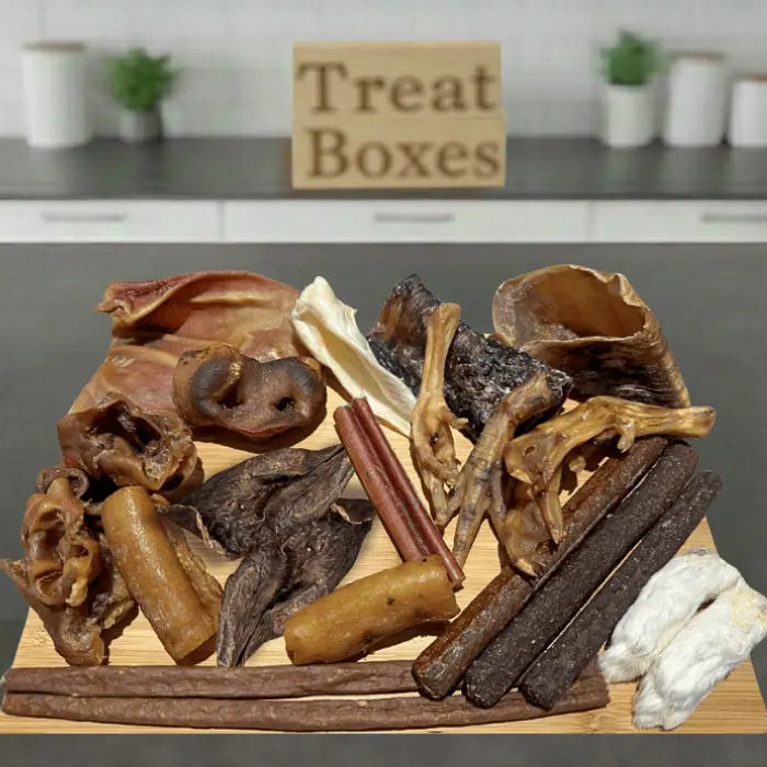 Munch Box Selection Box for Dogs