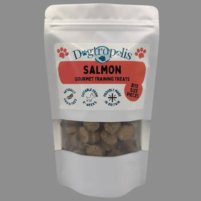Dogtropolis Salmon Training Treats for Dogs