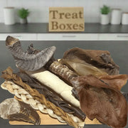 The Big Bite Selection Box for Dogs