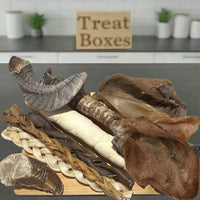 The Big Bite Selection Box for Dogs