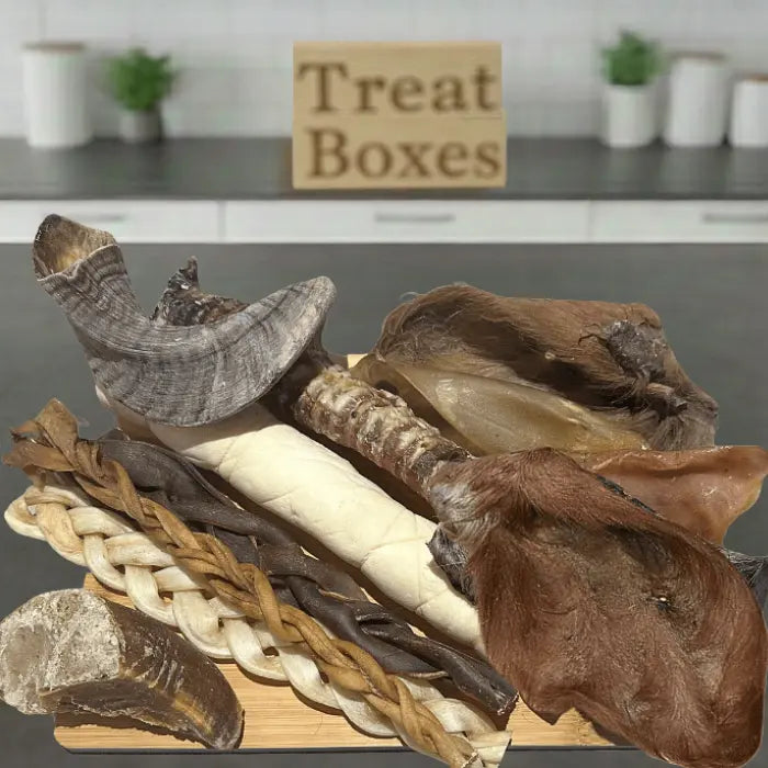 The Big Bite Selection Box for Dogs