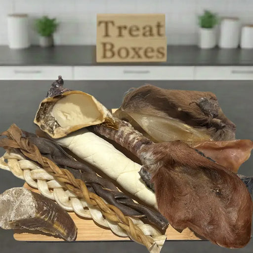 The Big Bite Selection Box for Dogs