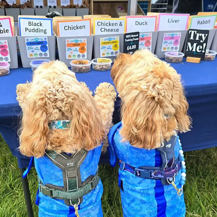 Dogtropolis Training Treats Tasters