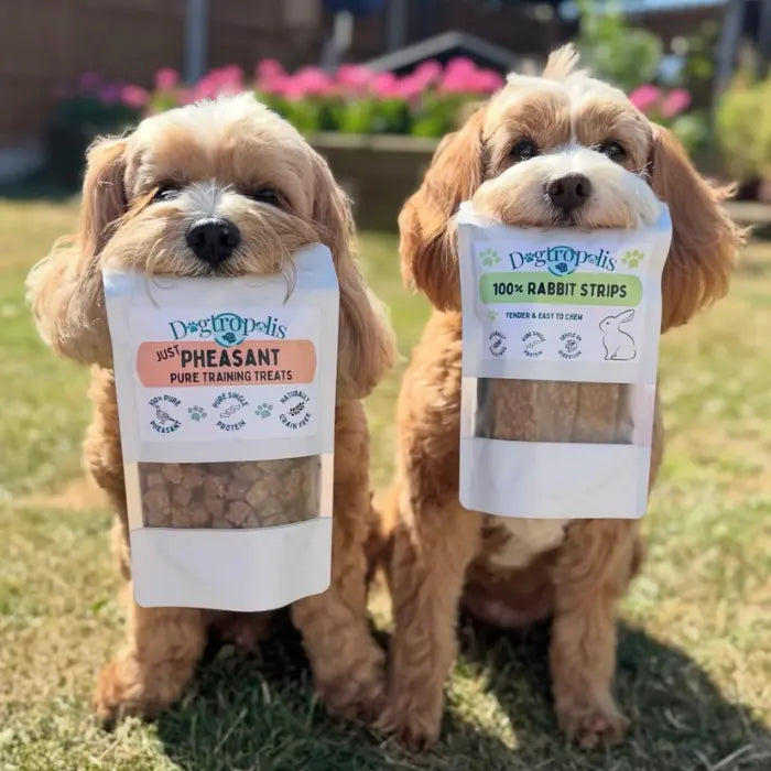 Dogtropolis Treats and Strips Bundle