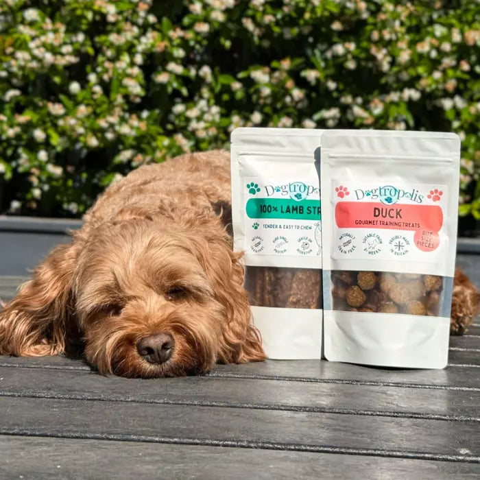Dogtropolis Treats and Strips