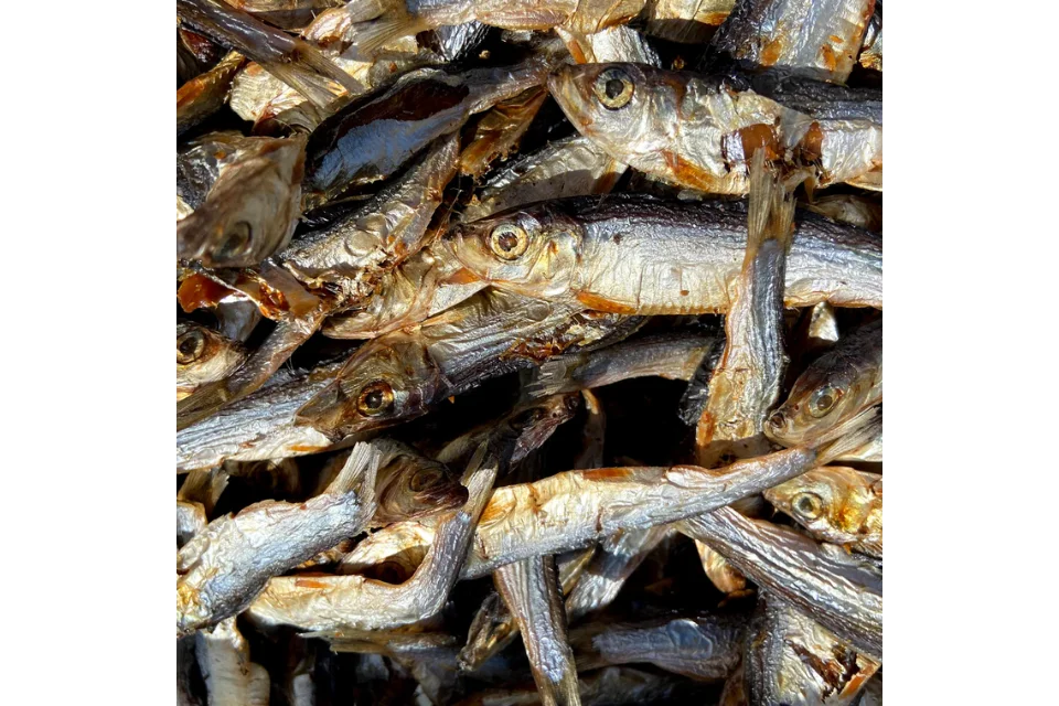 Dried Sprats for Dogs