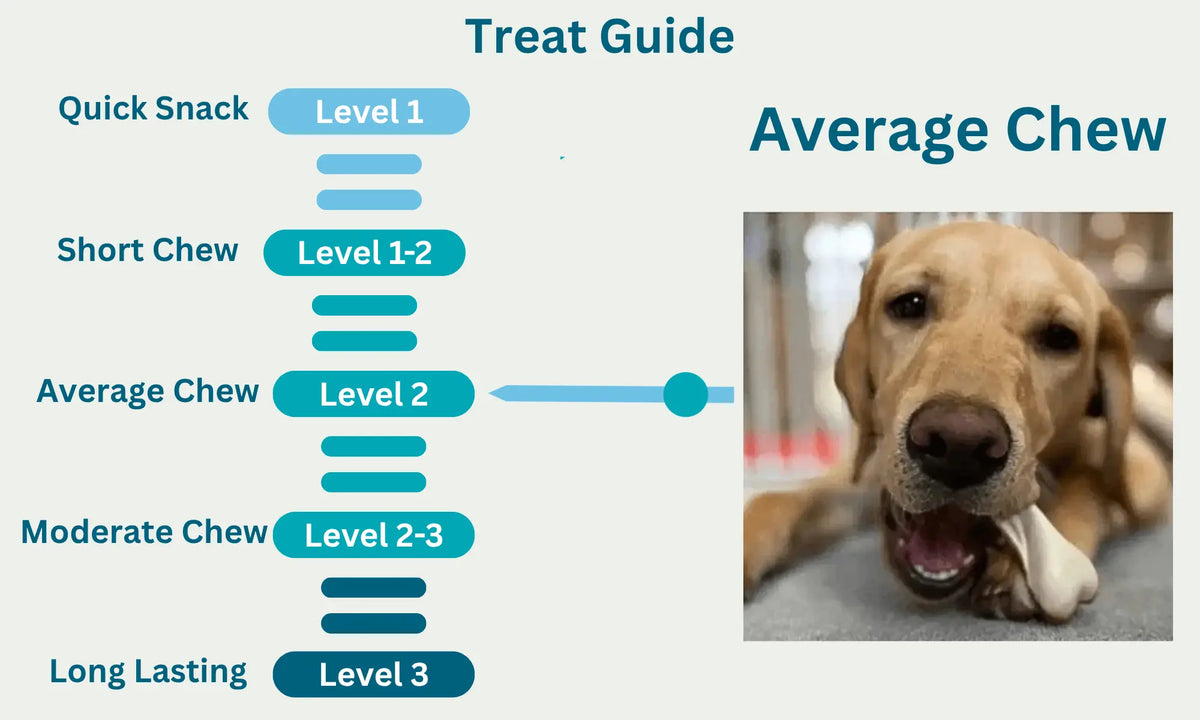 Peanut Butter Dual Bone Level