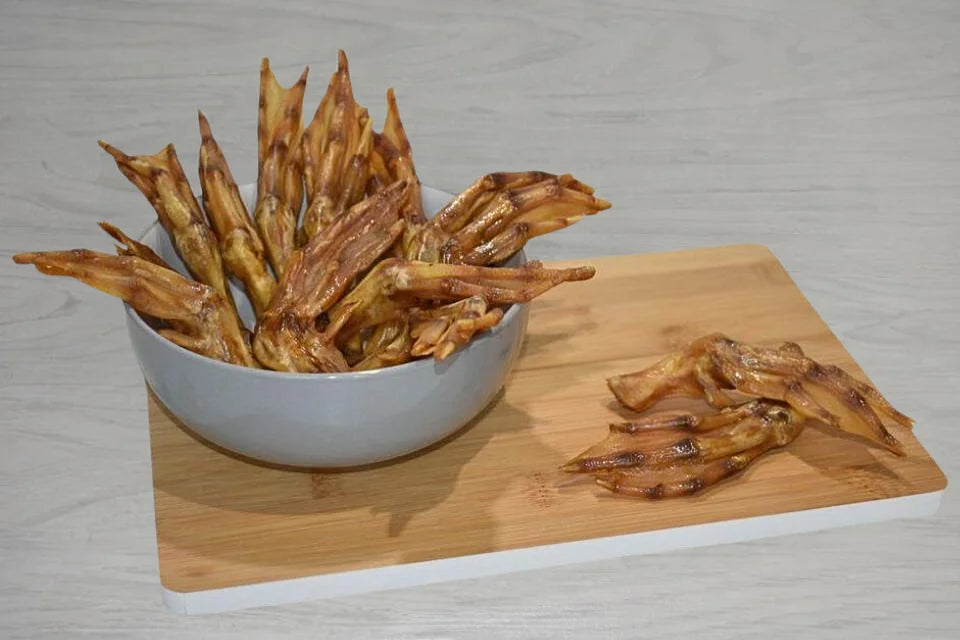Duck Feet for Dogs from Dogtropolis