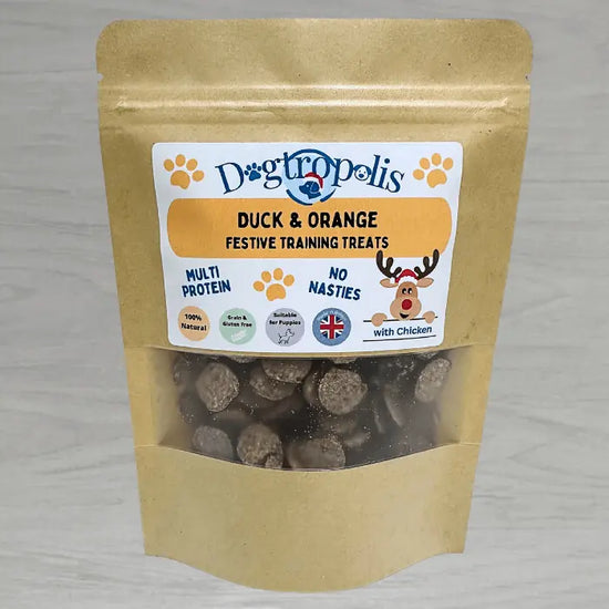 Duck & Orange | Festive Training Treats