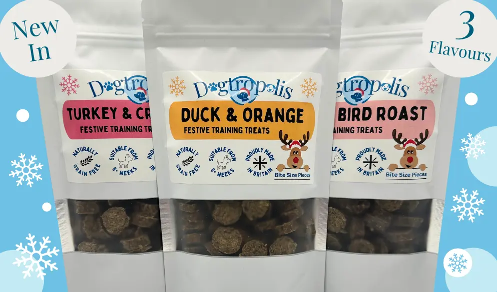 Dogtropolis Festive Training Treats