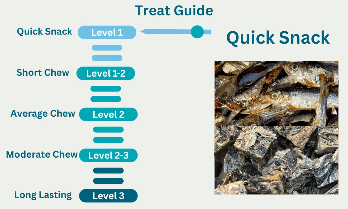 Fish Bundle Level