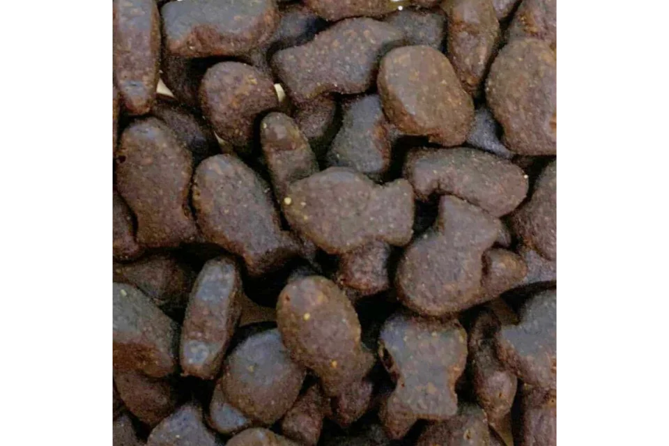 Fish Training Treats