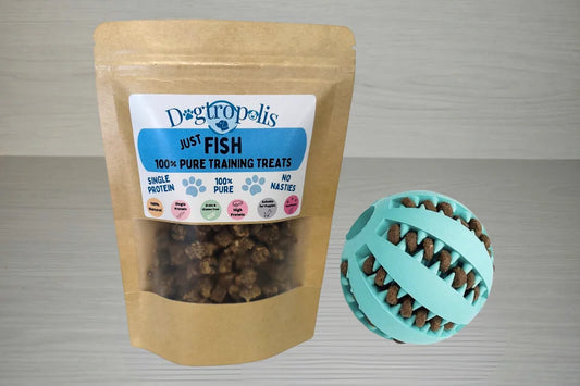 Natural Fish Treats & Dispensing Ball Toy Bundle
