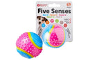 Five Senses Sensory Ball for Dogs