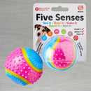 Five Senses Sensory Ball for Dogs