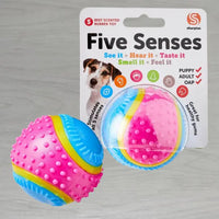 Five Senses Sensory Ball for Dogs