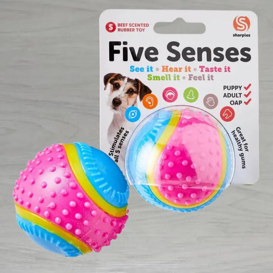 Five Senses Sensory Ball