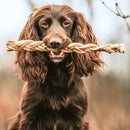 Dog with Braided Goat Skin