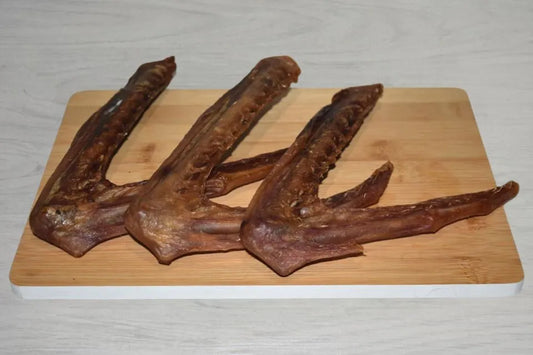 Goose Wings for Dogs