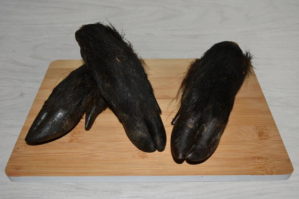 Hairy Wild Boar Trotters for Dogs
