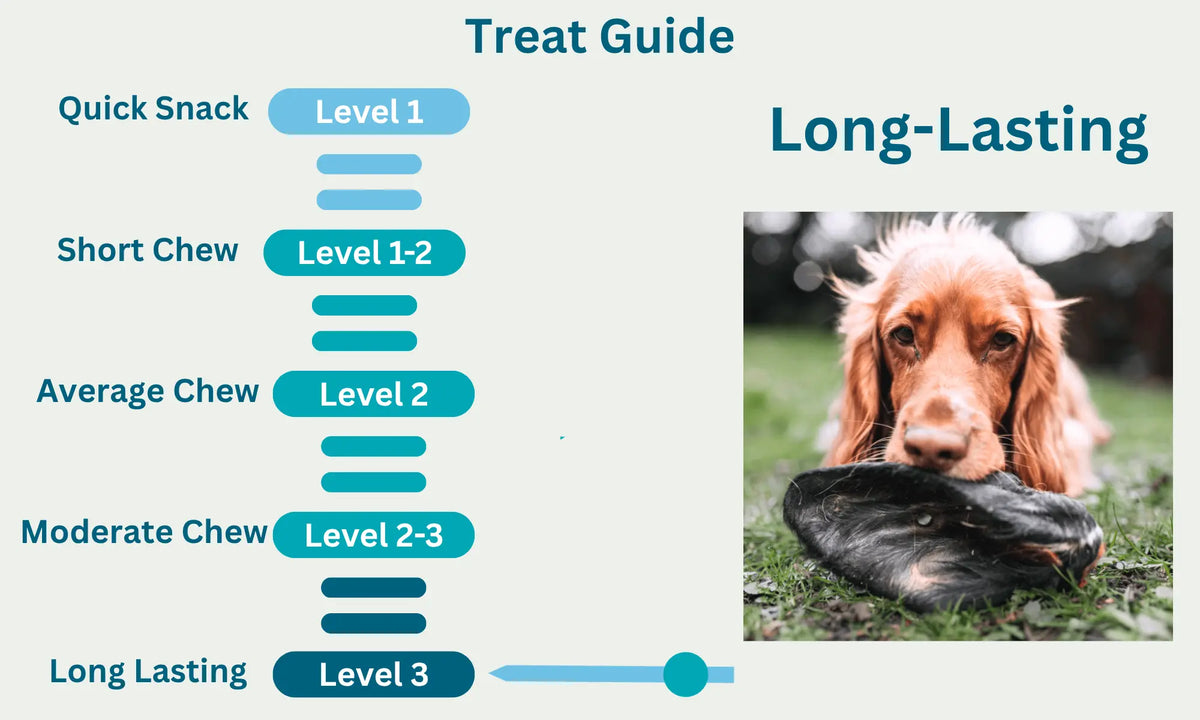 Hairy Cow Ear Level