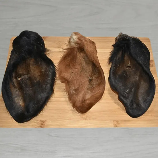 Hairy Cow Ears | Large