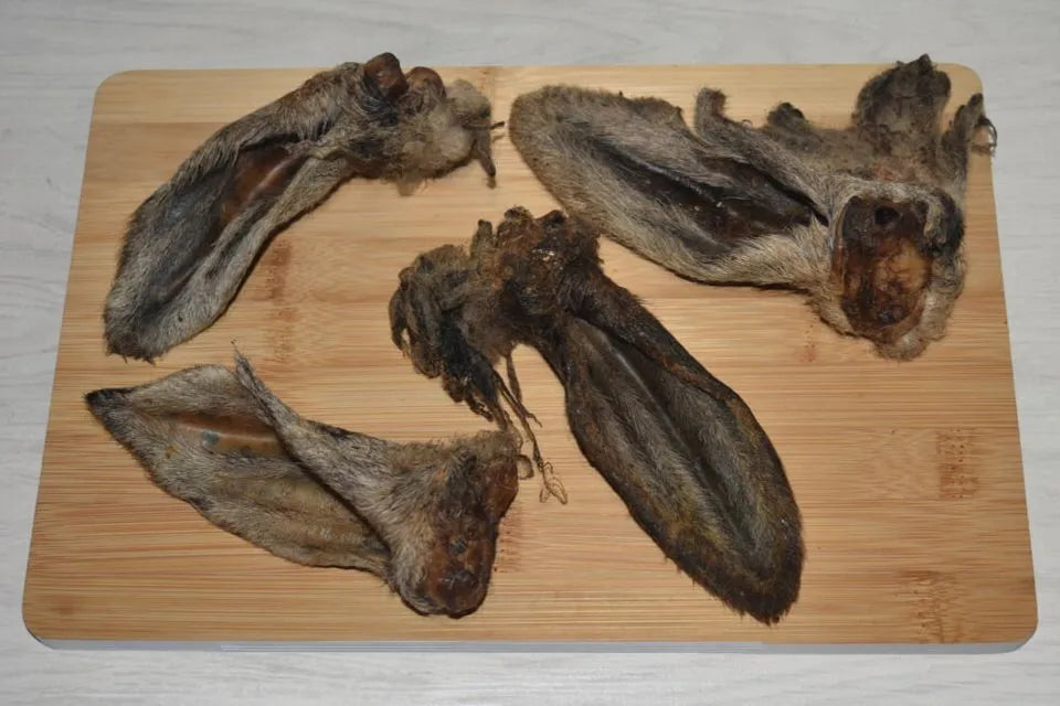 Hairy Lamb Ears for Dogs