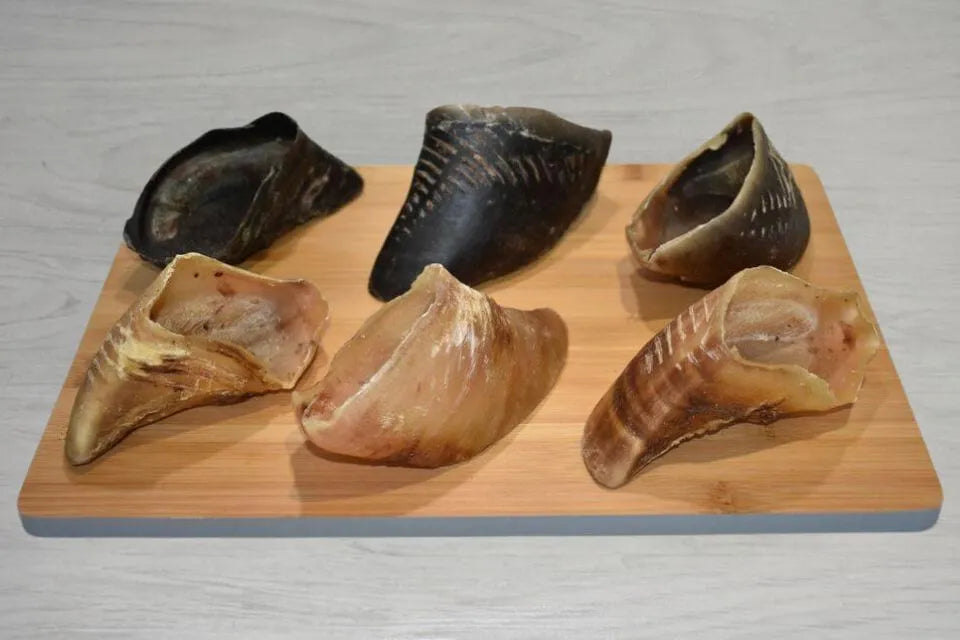 Hollow Dried Hooves - Dogtropolis