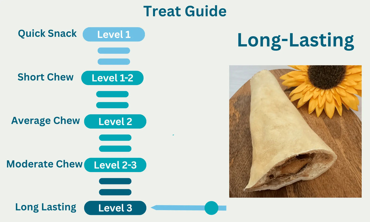 Jumbo Beef Tail Level