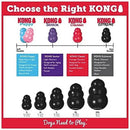 KONG Extreme for Dogs Size Guide