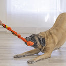 Dog with KONG Knots Snake