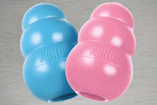 KONG® Puppy Medium - Blue & Pink
