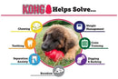KONG Helps Solve